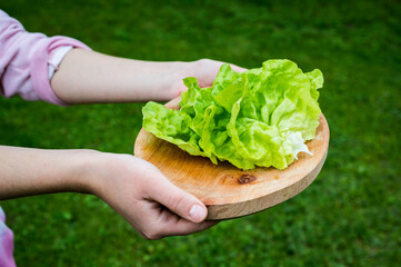 Lettuce leaves on a wooden plate