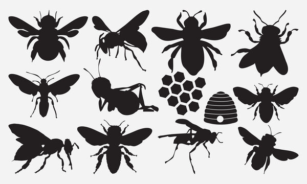 Bee black shape vector illustration set isolated on white background. Detailed decorative beekeeping logotype design elements.