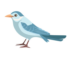 Obraz premium Cute seagull with blue feathered wings