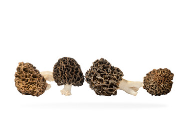 fresh morels isolated on white background