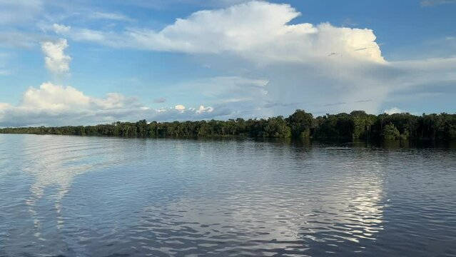 Fahrt auf dem Amazonas