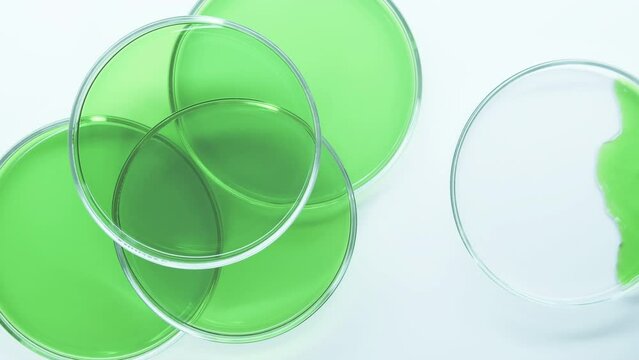 Brilliant Green Agar. combination of tryptone, peptone and yeast extract. Pipette Petri Dish Green Liquid. Laboratory. Virus. Mixture of ingredients. indicators, amino acids or antibiotics.