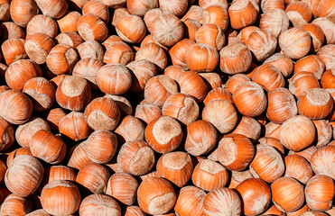 Unpeeled hazelnuts for creative background