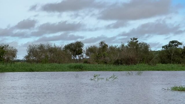 Fahrt auf dem Amazonas Fluss