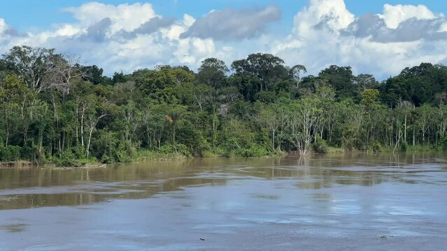 Fahrt auf dem Amazonas