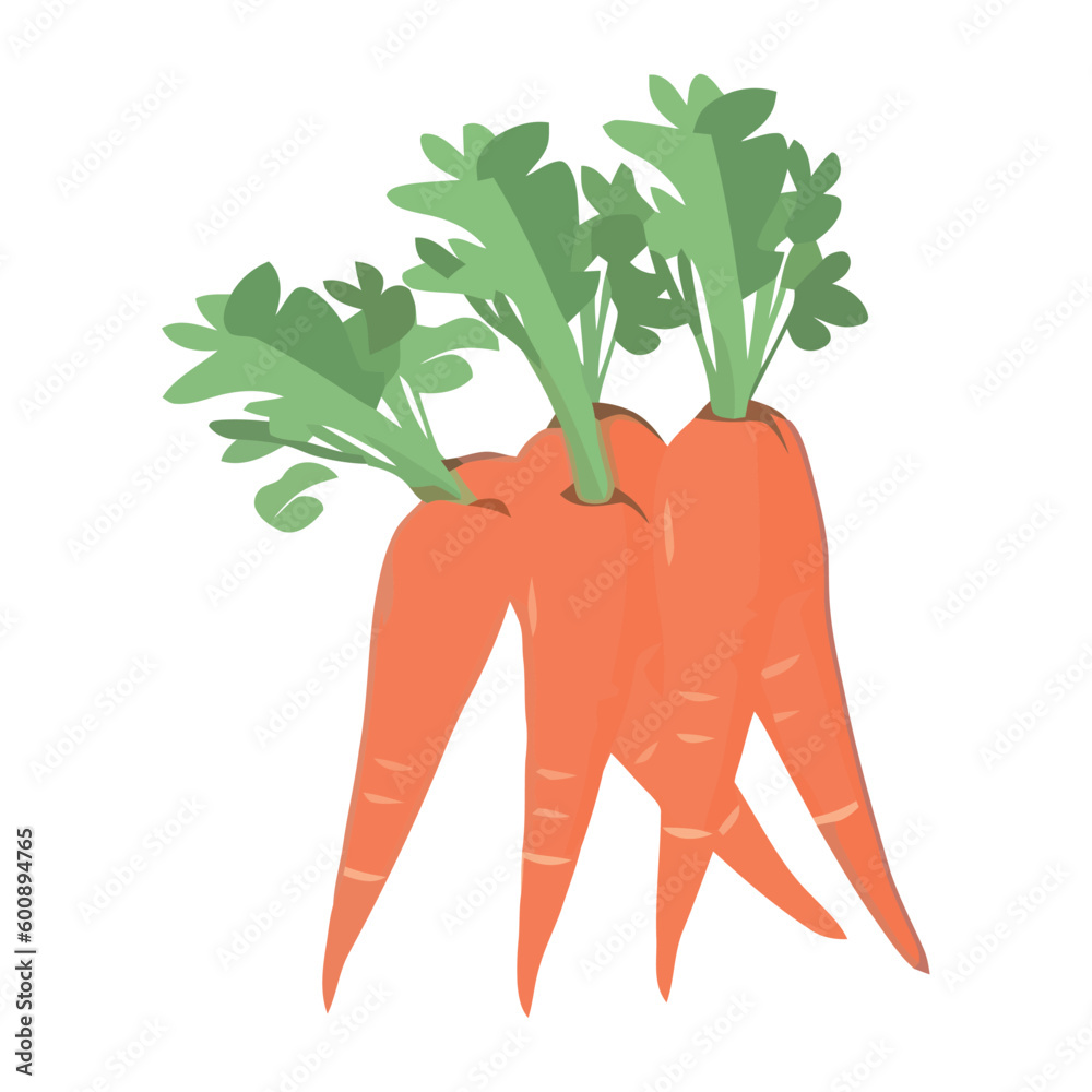 Poster fresh organic carrots healthy food