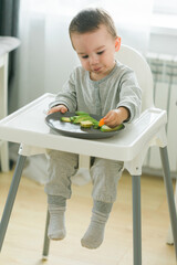 Baby boy sitting in baby chair eating fruit on kitchen background - baby feeding concept
