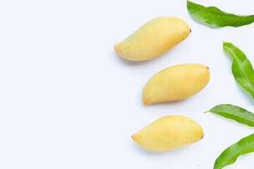 Tropical fruit, Mango  on white background.