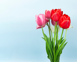 Beautiful bouquet of tulips. colorful tulips. nature background
