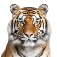 Rolgordijnen tiger face shot isolated on transparent background cutout  © PNG WORLD
