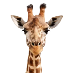 Poster Im Rahmen giraffe face shot isolated on transparent background cutout  © PNG WORLD