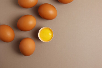 fresh farm chicken eggs on a colored background