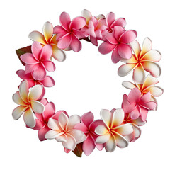 Fototapeta na wymiar hawaii garland of pink Frangipani flowers 