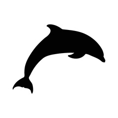 Fototapeta premium dolphin, fish, sea, ocean, black silhouette on a white background 