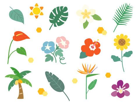 向日葵やハイビスカスなどの夏の花や植物・葉のイラストセット　シンプルバージョン