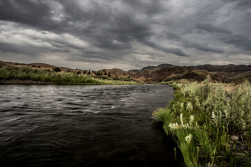 Fototapeta na wymiar river in the wilderness