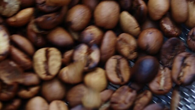 コーヒーの生豆