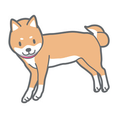 横たわる柴犬のベクターイラスト