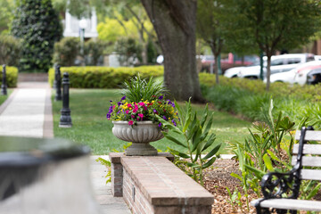 Fototapeta na wymiar Potted flowers in Huntington Square park in Downtown Summerville, South Carolina. Summerville is the birth place of sweet tea. Sidewalk path in the background