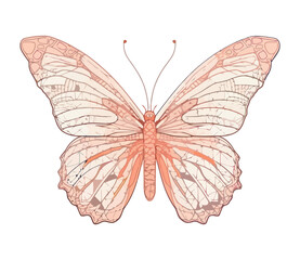 Butterfly in colored abstract decoration