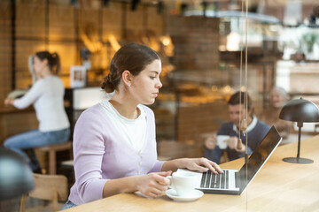 Fototapeta premium Confident female cafe customer enjoying peace and quiet while working on laptop
