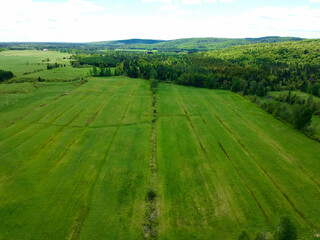 Aerial view of green farmland on a beautiful summer day