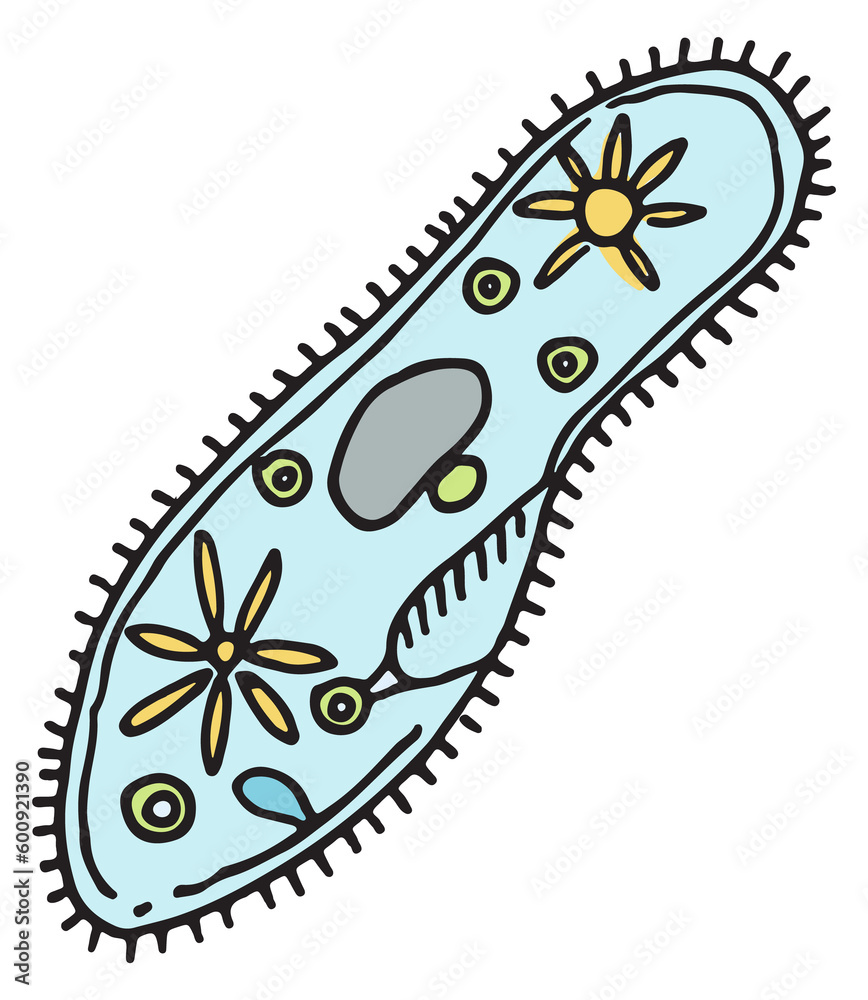 Sticker Bacteria cell icon. Biology doodle. Scientific drawing