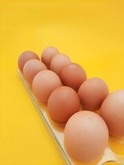 eggs on a yellow background