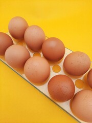 eggs on a yellow background