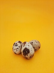 Fototapeta premium three quail eggs isolated on yellow background
