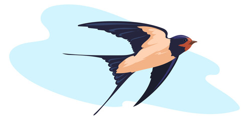 Swallow in blue sky. Flying wild bird art