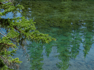 water in the forest reflection in crystal clear emerald green water. environmental conservation for future generations. fresh air and cycle of living life, aquatic and national park protection.