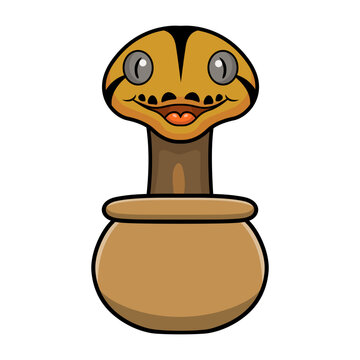 Cute golden child reticulated python cartoon inside the pot