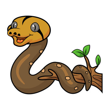 Cute golden child reticulated python cartoon on tree branch