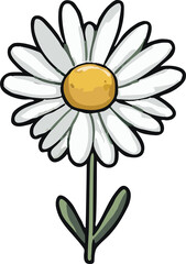 chamomile png graphic clipart design