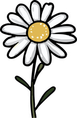 chamomile png graphic clipart design