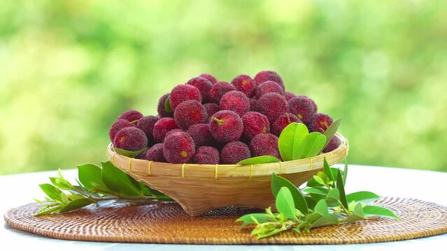 Red Yangmei or Arbutus berries Fruit in basket, Red Bayberry, Yumberry, yamamomo, Waxberry in packaging on green bokeh background.