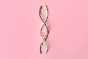 Plasticine model of DNA molecular chain on pink background, top view