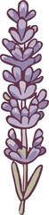 lavender png graphic clipart design