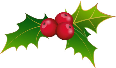 Holly leaves and red berries. On transparent. png Christmas, new year. Botanical decorations.