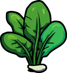 spinach png graphic clipart design
