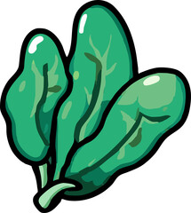 spinach png graphic clipart design