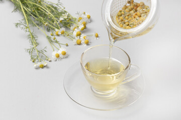 ハーブの仲間　カモミール　Chamomile herbal tea 