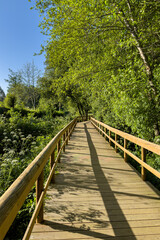 Fototapeta premium Wooden pathway in Fiaes