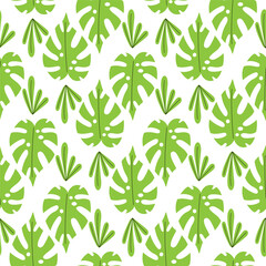 Seamless pattern with green tropical palm leaves on white background. Exotic monstera foliage wallpaper.