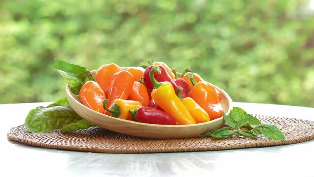 Mixed Color Sweet bite Peppers  or Bell pepper on wooden plate under sunlight on blurred nature background.