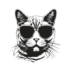 british cat with sunglasses, vintage logo line art concept black and white color, hand drawn illustration