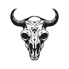 bull skull, vintage logo line art concept black and white color, hand drawn illustration