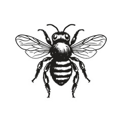 bumblebee, vintage logo line art concept black and white color, hand drawn illustration