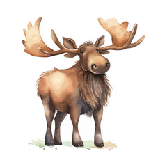 Cute Watercolor Moose In Natural State Standing Gracefully